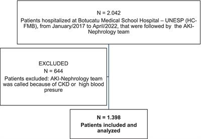 Drug-induced acute kidney injury: a cohort study on incidence, identification of pathophysiological mechanisms, and prognostic factors